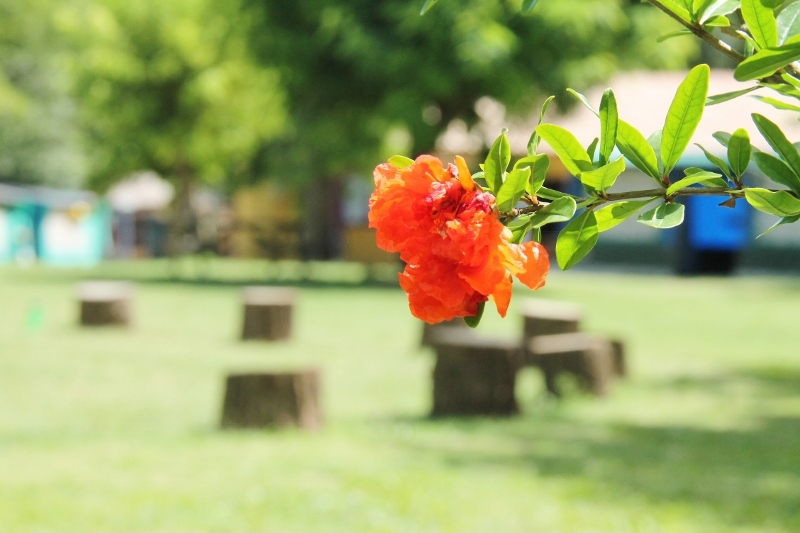 Village Camps International Summer Camp Ard&egrave;che, France 2019-07-26 https://www.villagecamps.com/journals_admin/images/922-34-07-14-2014 (800x533) (135).jpg